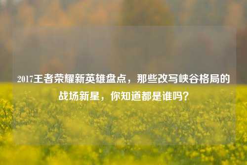 2017王者荣耀新英雄盘点，那些改写峡谷格局的战场新星，你知道都是谁吗？