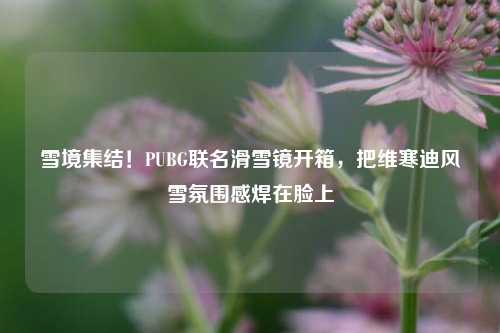 雪境集结！PUBG联名滑雪镜开箱，把维寒迪风雪氛围感焊在脸上