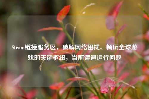 Steam链接服务区,破解网络困扰、畅玩全球游戏的关键枢纽,当前遭遇运行问题