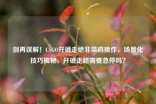 别再误解！CSGO开镜走绝非菜鸡操作，场景化技巧揭秘，开镜走路需要急停吗？
