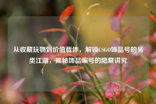从收藏玩物到价值载体，解锁CSGO饰品号的另类江湖，揭秘饰品编号的隐藏讲究