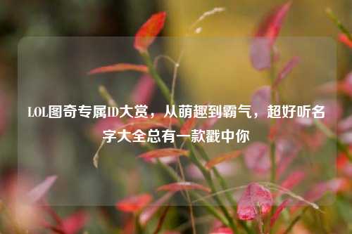 LOL图奇专属ID大赏，从萌趣到霸气，超好听名字大全总有一款戳中你