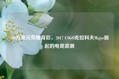 100万美元荣耀背后，2017 CSGO克拉科夫Major掀起的电竞浪潮