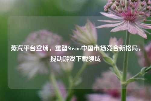 蒸汽平台登场，重塑Steam中国市场竞合新格局，搅动游戏下载领域