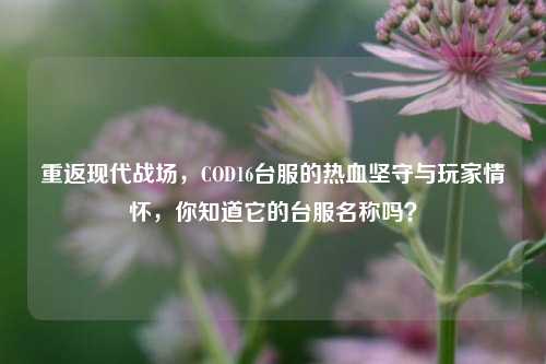 重返现代战场，COD16台服的热血坚守与玩家情怀，你知道它的台服名称吗？