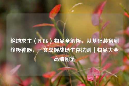 绝地求生（PUBG）物品全解析，从基础装备到终极神器，一文掌握战场生存法则｜物品大全高清图鉴