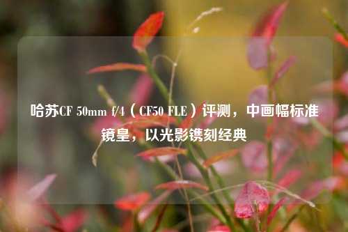 哈苏CF 50mm f/4（CF50 FLE）评测，中画幅标准镜皇，以光影镌刻经典