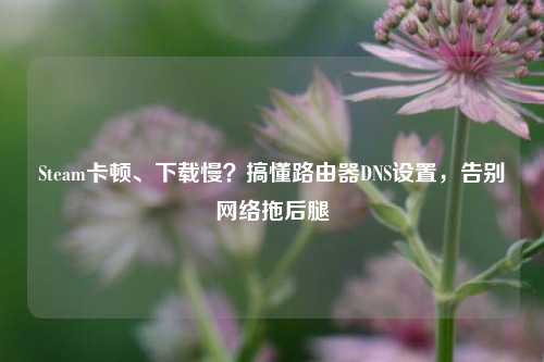 Steam卡顿、下载慢？搞懂路由器DNS设置，告别网络拖后腿