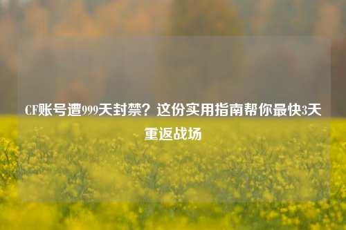 CF账号遭999天封禁？这份实用指南帮你最快3天重返战场