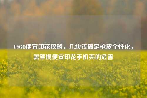 CSGO便宜印花攻略,几块钱搞定枪皮个性化,需警惕便宜印花手机壳的危害