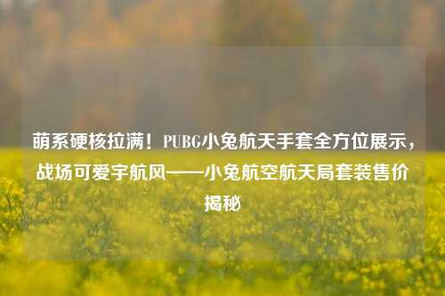 萌系硬核拉满!PUBG小兔航天手套全方位展示,战场可爱宇航风——小兔航空航天局套装售价揭秘