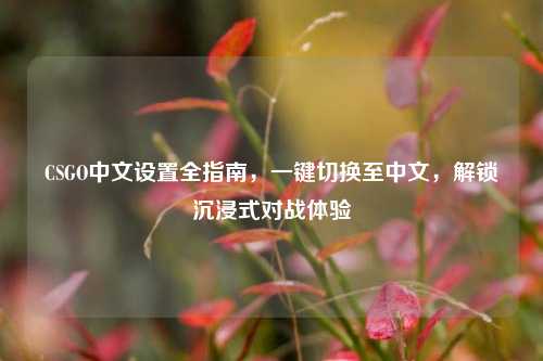 CSGO中文设置全指南，一键切换至中文，解锁沉浸式对战体验