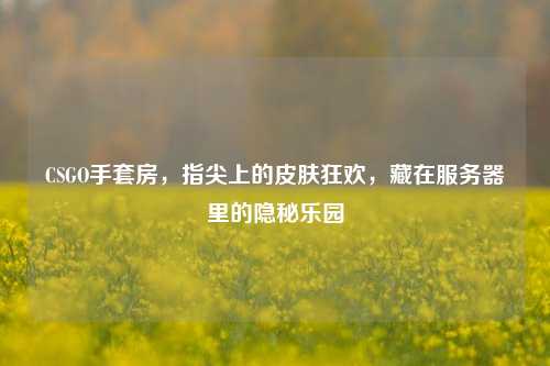 CSGO手套房,指尖上的皮肤狂欢,藏在服务器里的隐秘乐园