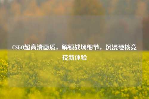 CSGO超高清画质，解锁战场细节，沉浸硬核竞技新体验