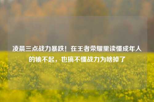 凌晨三点战力暴跌!在王者荣耀里读懂成年人的输不起,也搞不懂战力为啥掉了