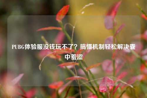 PUBG体验服没钱玩不了？搞懂机制轻松解决囊中羞涩