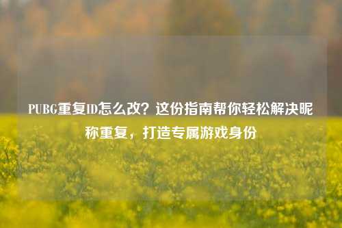 PUBG重复ID怎么改?这份指南帮你轻松解决昵称重复,打造专属游戏身份