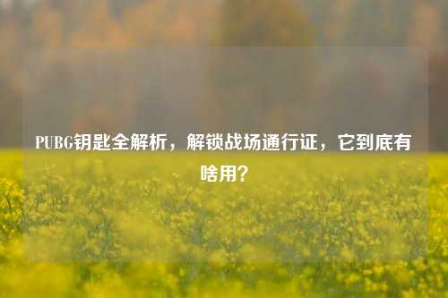 PUBG钥匙全解析，解锁战场通行证，它到底有啥用？