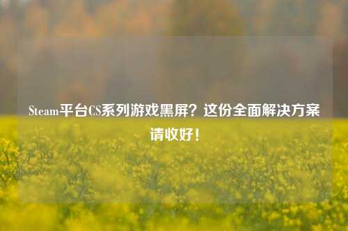 Steam平台CS系列游戏黑屏?这份全面解决方案请收好!