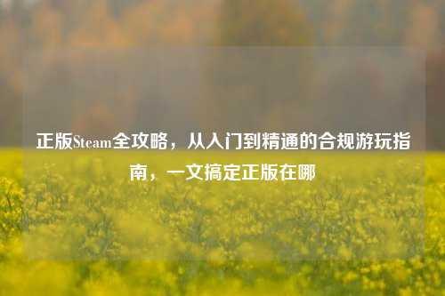 正版Steam全攻略，从入门到精通的合规游玩指南，一文搞定正版在哪