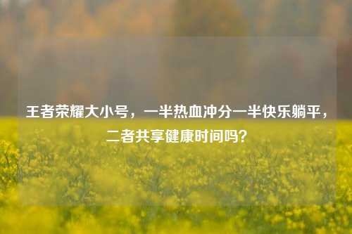 王者荣耀大小号,一半热血冲分一半快乐躺平,二者共享健康时间吗?