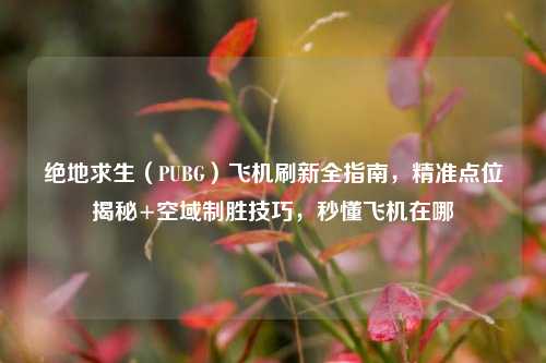 绝地求生(PUBG)飞机刷新全指南,精准点位揭秘+空域制胜技巧,秒懂飞机在哪