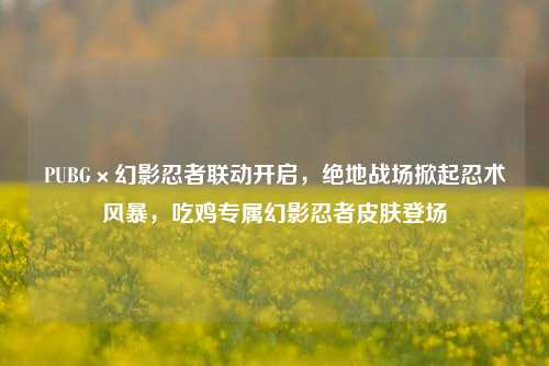 PUBG×幻影忍者联动开启，绝地战场掀起忍术风暴，吃鸡专属幻影忍者皮肤登场