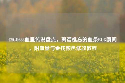 CSGO333血量传说盘点，离谱难忘的血条BUG瞬间，附血量与金钱颜色修改教程