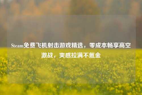Steam免费飞机射击游戏精选,零成本畅享高空激战,爽感拉满不氪金