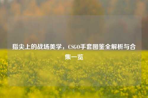 指尖上的战场美学，CSGO手套图鉴全解析与合集一览