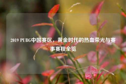 2019 PUBG中国赛区,黄金时代的热血荣光与赛事赛程全览