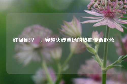 红凤凰涅槃,穿越火线赛场的热血传奇赵燕