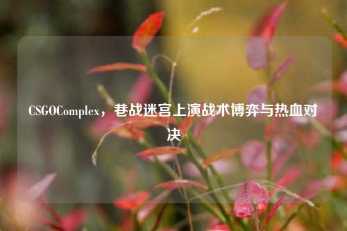 CSGOComplex，巷战迷宫上演战术博弈与热血对决