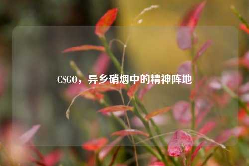 CSGO，异乡硝烟中的精神阵地