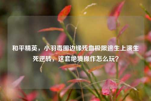 和平精英，小羽毒圈边缘残血极限逃生上演生死逆转，这套绝境操作怎么玩？