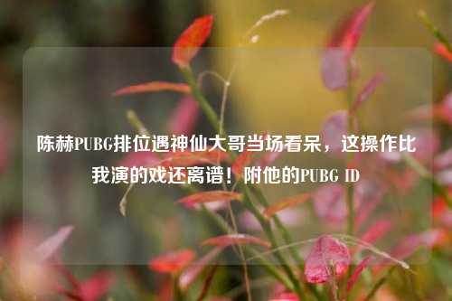 陈赫PUBG排位遇神仙大哥当场看呆，这操作比我演的戏还离谱！附他的PUBG ID