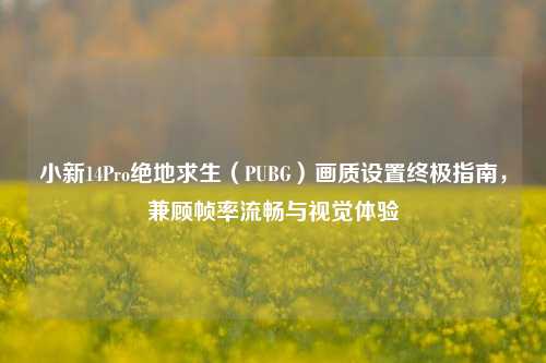 小新14Pro绝地求生（PUBG）画质设置终极指南，兼顾帧率流畅与视觉体验