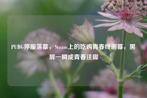 PUBG停服落幕，Steam上的吃鸡青春终谢幕，黑屏一瞬成青春注脚