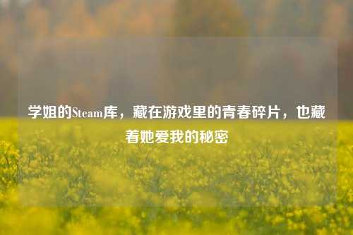 学姐的Steam库，藏在游戏里的青春碎片，也藏着她爱我的秘密