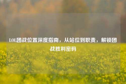 LOL团战位置深度指南，从站位到职责，解锁团战胜利密码