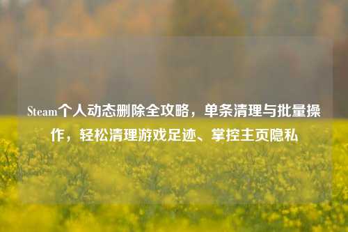 Steam个人动态删除全攻略,单条清理与批量操作,轻松清理游戏足迹、掌控主页隐私