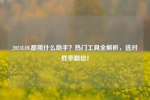 2024LOL都用什么助手?热门工具全解析,选对胜率翻倍!