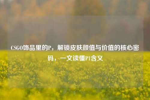 CSGO饰品里的P，解锁皮肤颜值与价值的核心密码，一文读懂P1含义