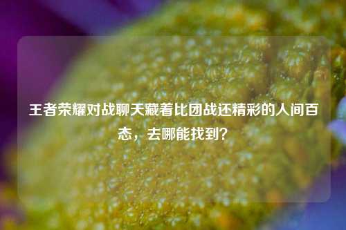 王者荣耀对战聊天藏着比团战还精彩的人间百态，去哪能找到？