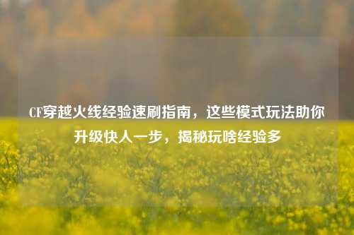 CF穿越火线经验速刷指南,这些模式玩法助你升级快人一步,揭秘玩啥经验多