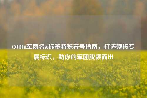 COD16军团名&标签特殊符号指南，打造硬核专属标识，助你的军团脱颖而出