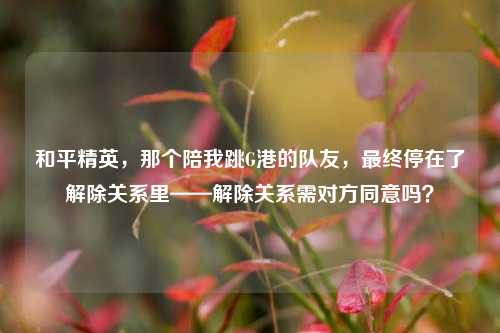 和平精英，那个陪我跳G港的队友，最终停在了解除关系里——解除关系需对方同意吗？
