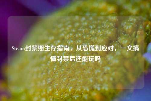 Steam封禁期生存指南，从恐慌到应对，一文搞懂封禁后还能玩吗
