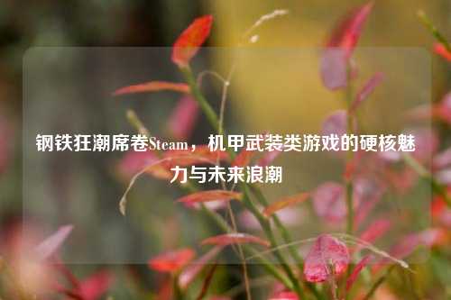 钢铁狂潮席卷Steam，机甲武装类游戏的硬核魅力与未来浪潮