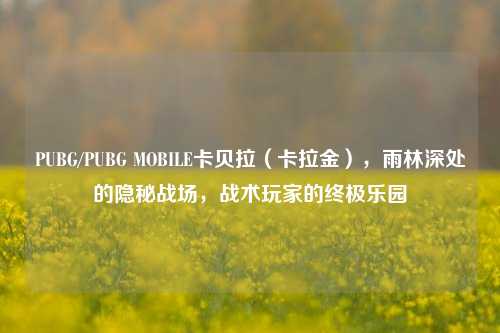 PUBG/PUBG MOBILE卡贝拉（卡拉金），雨林深处的隐秘战场，战术玩家的终极乐园